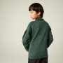 Дитяча толстовка Regatta Junior Newhill DrkForGlacGr