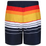 Чоловічі шорти Regatta Loras Swim Short m
