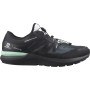 Чоловічі черевики Salomon Sonic 4 Gore-Tex