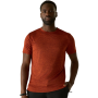 Чоловіча футболка Regatta Fingal Edition