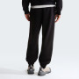 Чоловічі спортивні штани The North Face Essential Terry Simple Dome Relaxe