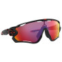 Сонцезахисні окуляри OAKLEY Jawbreaker Prizm Road