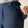 Чоловічі штани Dare 2b Baseplate Insulated Pant