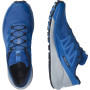 Чоловічі черевики Salomon Sense Ride 4