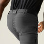 Чоловічі штани Regatta Anti-Insect Travel Light Z/O Trousers