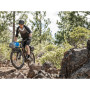 Задній багажник Topeak Tetrarack M2