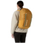 Рюкзак Patagonia Black Hole Pack 32L