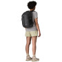 Рюкзак Patagonia Refugio Day Pack 26L