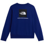 Чоловіча толстовка The North Face M Evolution Box Nse Regular Crew