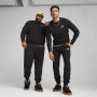 Чоловічі спортивні штани Puma ESS No. 1 Logo Sweatpants TR cl