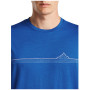 Чоловіча футболка Icebreaker Men Merino 150 Tech Lite SS Tee Range Stripes