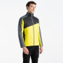 Чоловіча куртка Dare 2b Descending Jacket