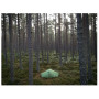 Туристичний намет Vango Nevis 100