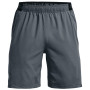 Чоловічі шорти Under Armour Vanish Woven Shorts
