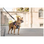 Повідець для собаки Curli Stretch Comfort Leash