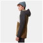 Чоловіча куртка The North Face Stratos