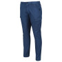 Чоловічі штани Regatta Bryer Cargo Trousers II