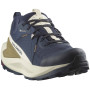 Чоловічі черевики Salomon Elixir Gore-Tex