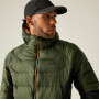 Чоловіча куртка Regatta Hooded Dalent