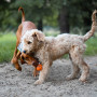Іграшка для собак Explorer Dog AirBall 6,5 cm