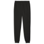 Чоловічі спортивні штани Puma Ess 2 Color Logo Sweatpants