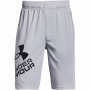 Дитячі шорти Under Armour Prototype 2.0 Logo Shorts-GRY світло-сірий Gray