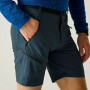 Чоловічі шорти Regatta Xert Stretch Shorts