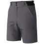 Чоловічі шорти Dare 2b Torrek II Short