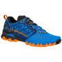 Чоловічі черевики La Sportiva Bushido II GTX