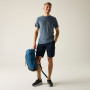 Чоловічі шорти Regatta Bendrick Shorts