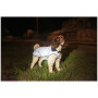 Дощовик для собаки Mountain Paws Reflective Fleece-Lined Dog Raincoat