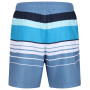 Чоловічі шорти Regatta Loras Swim Short m