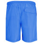 Чоловічі шорти Regatta Mackleyna Swim Short