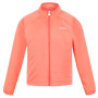 Дитяча толстовка Regatta Jnr Highton LteII