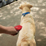 Повідець для собаки Nite Ize RadDog™ Retractable Pocket Leash