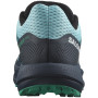 Чоловічі кросівки Salomon Pulsar Trail