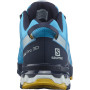 Чоловічі черевики Salomon Xa Pro 3D V8 GTX