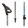 Палиці для скандинавської ходьби Fizan NW Carbon Pro Impulse