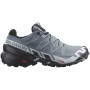 Жіночі черевики Salomon Speedcross 6 Gore-Tex