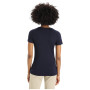 Жіноча футболка Icebreaker Tech Lite II SS Tee Ski Stripes