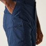 Чоловічі шорти Regatta Dalry Short