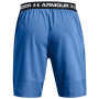 Чоловічі шорти Under Armour Vanish Woven Shorts