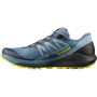 Чоловічі черевики Salomon Sense Ride 4