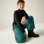 Дитячі лижні штани Dare 2b Outmove III Insulated Pant Mediterranea