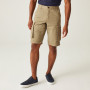 Чоловічі шорти Regatta Shorebay Short
