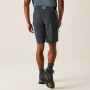 Чоловічі шорти Regatta Eldes Shorts