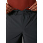 Чоловічі шорти Helly Hansen Friluft Shorts