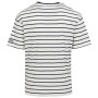 Чоловіча футболка Regatta Shorebay Tee II