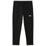 Чоловічі штани The North Face M Standard Pant чорний