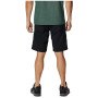 Чоловічі шорти Columbia Silver Ridge™ Utility Cargo Short